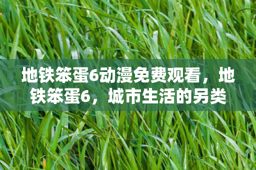 地铁笨蛋6动漫免费观看，地铁笨蛋6，城市生活的另类风景线