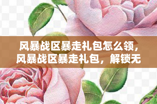 风暴战区暴走礼包怎么领，风暴战区暴走礼包，解锁无限可能的终极装备