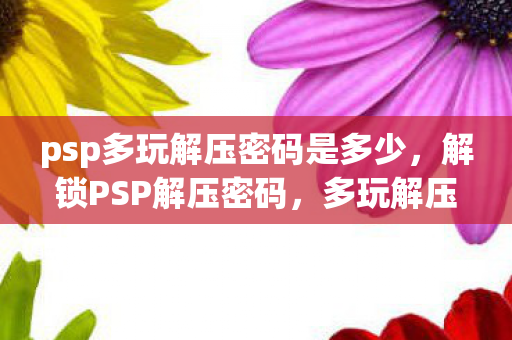 psp多玩解压密码是多少，解锁PSP解压密码，多玩解压的实用指南