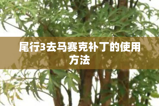 尾行3去马赛克补丁的使用方法