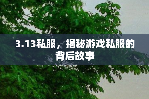 3.13私服，揭秘游戏私服的背后故事