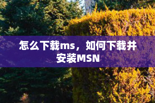 怎么下载ms,如何下载并安装MSN 怎么下载ms,如何下载并安装MSN