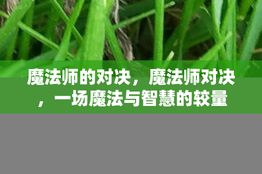魔法师的对决，魔法师对决，一场魔法与智慧的较量
