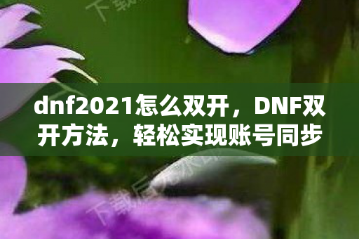 dnf2021怎么双开，DNF双开方法，轻松实现账号同步登录