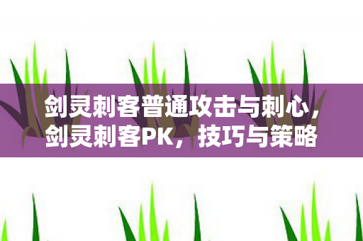 剑灵刺客普通攻击与刺心，剑灵刺客PK，技巧与策略的深度解析