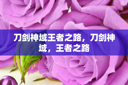 刀剑神域王者之路，刀剑神域，王者之路
