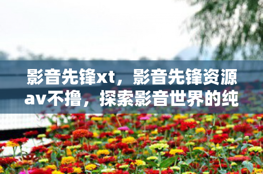 影音先锋xt，影音先锋资源av不撸，探索影音世界的纯净之旅