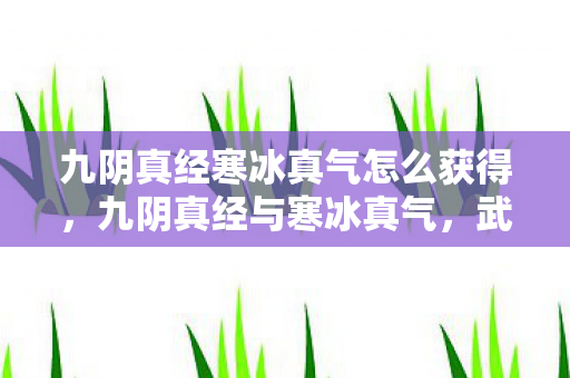 九阴真经寒冰真气怎么获得，九阴真经与寒冰真气，武侠世界中的绝世武学