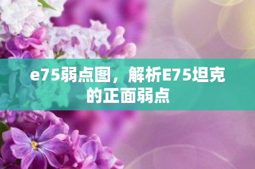 e75弱点图，解析E75坦克的正面弱点