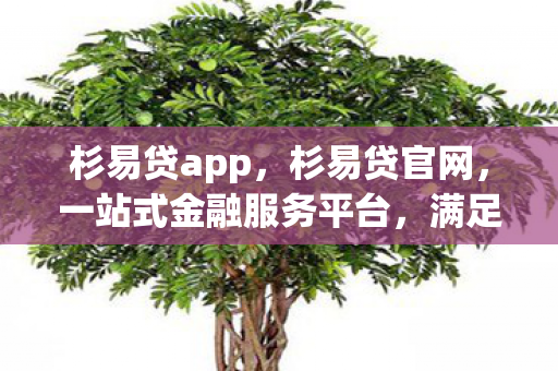 杉易贷app,杉易贷官网,一站式金融服务平台,满足您的多元化需求 杉易贷app,杉易贷官网,一站式金融服务平台,满足您的多元化需求