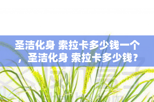圣洁化身 索拉卡多少钱一个，圣洁化身 索拉卡多少钱？