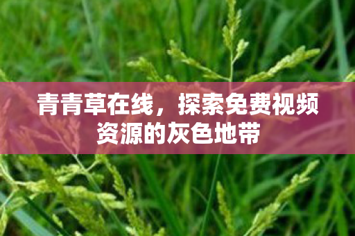 青青草在线，探索免费视频资源的灰色地带
