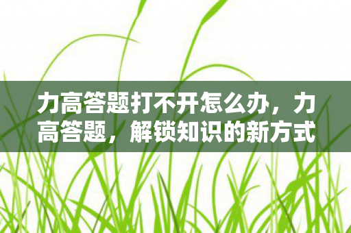 力高答题打不开怎么办，力高答题，解锁知识的新方式