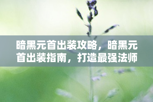 暗黑元首出装攻略，暗黑元首出装指南，打造最强法师阵容