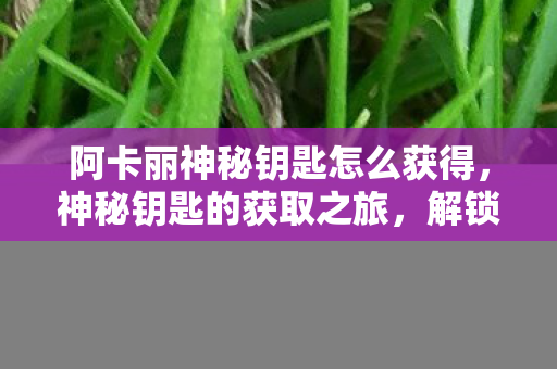 阿卡丽神秘钥匙怎么获得，神秘钥匙的获取之旅，解锁未知世界的秘密