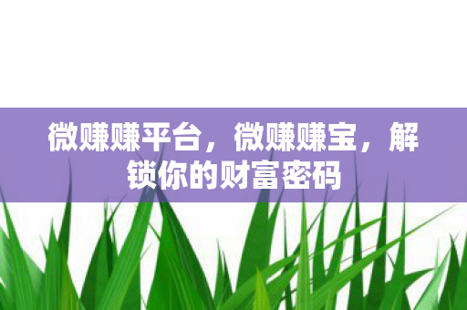 微赚赚平台，微赚赚宝，解锁你的财富密码