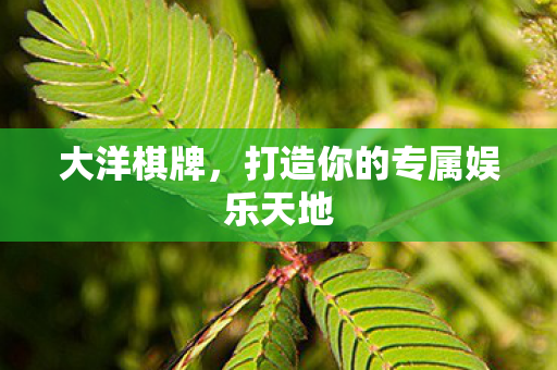 大洋棋牌，打造你的专属娱乐天地