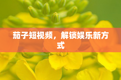 茄子短视频，解锁娱乐新方式