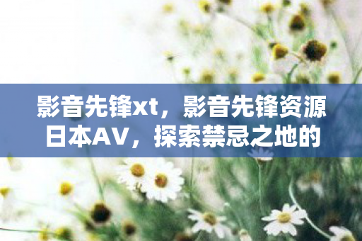 影音先锋xt,影音先锋资源日本AV,探索禁忌之地的风险与警示 影音先锋xt,影音先锋资源日本AV,探索禁忌之地的风险与警示
