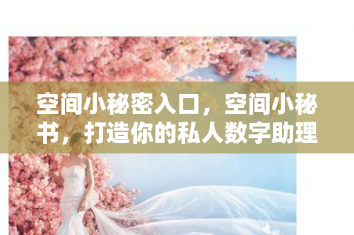 空间小秘密入口,空间小秘书,打造你的私人数字助理 空间小秘密入口,空间小秘书,打造你的私人数字助理