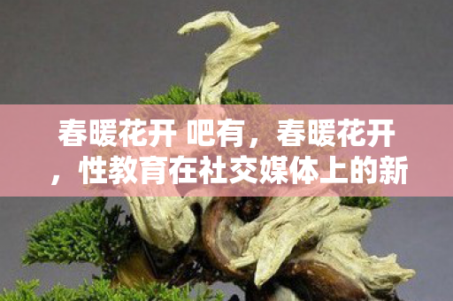 春暖花开 吧有，春暖花开，性教育在社交媒体上的新探索