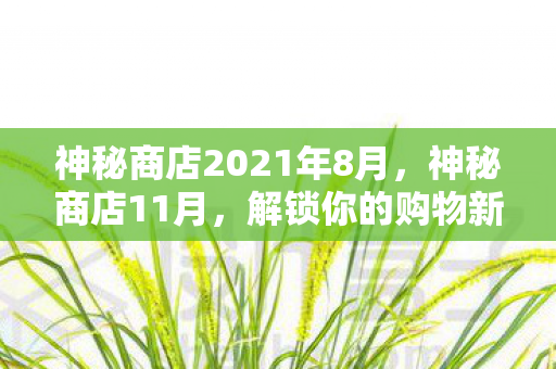 神秘商店2021年8月，神秘商店11月，解锁你的购物新体验