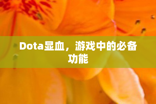 Dota显血，游戏中的必备功能