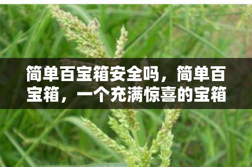 简单百宝箱安全吗，简单百宝箱，一个充满惊喜的宝箱，还是隐藏的毒物？