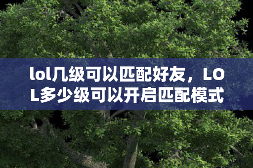lol几级可以匹配好友，LOL多少级可以开启匹配模式？