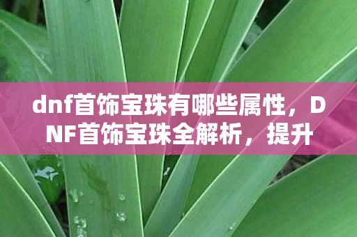 dnf首饰宝珠有哪些属性，DNF首饰宝珠全解析，提升战斗力的必备神器