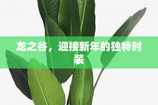 龙之谷，迎接新年的独特时装