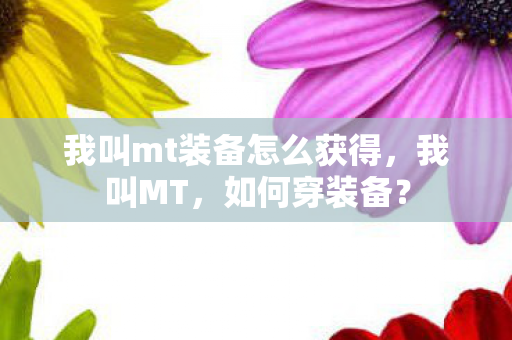 我叫mt装备怎么获得，我叫MT，如何穿装备？