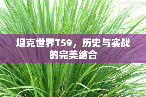 坦克世界T59，历史与实战的完美结合