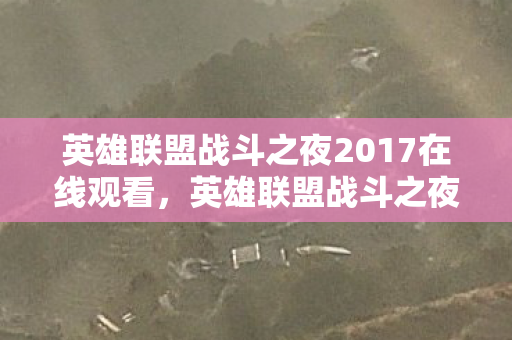 英雄联盟战斗之夜2017在线观看，英雄联盟战斗之夜2017，回忆与荣耀的盛宴