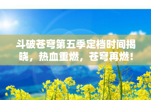 斗破苍穹第五季定档时间揭晓，热血重燃，苍穹再燃！