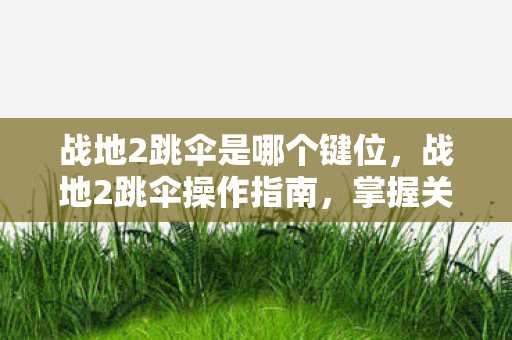战地2跳伞是哪个键位,战地2跳伞操作指南,掌握关键按键,畅享跳伞乐趣 战地2跳伞是哪个键位,战地2跳伞操作指南,掌握关键按键,畅享跳伞乐趣