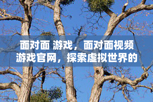 面对面 游戏,面对面视频游戏官网,探索虚拟世界的无限可能 面对面 游戏,面对面视频游戏官网,探索虚拟世界的无限可能