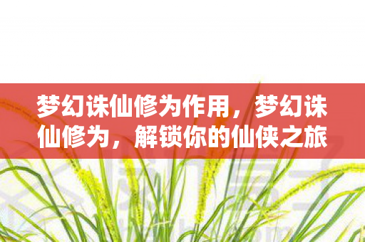梦幻诛仙修为作用，梦幻诛仙修为，解锁你的仙侠之旅