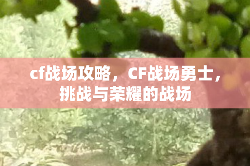 cf战场攻略,CF战场勇士,挑战与荣耀的战场 cf战场攻略,CF战场勇士,挑战与荣耀的战场