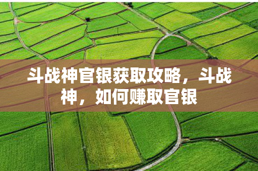 斗战神官银获取攻略，斗战神，如何赚取官银