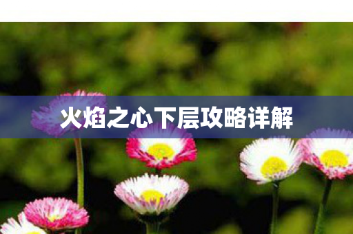 火焰之心下层攻略详解