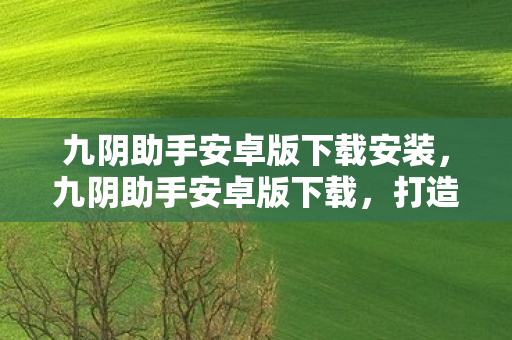 九阴助手安卓版下载安装，九阴助手安卓版下载，打造你的专属武侠世界