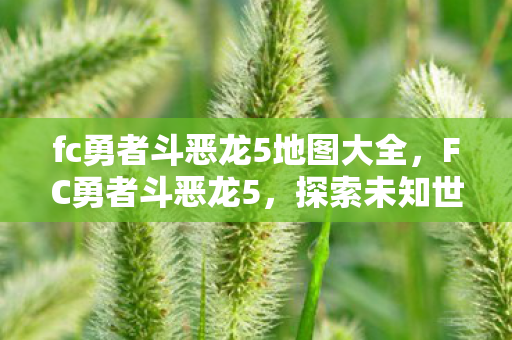 fc勇者斗恶龙5地图大全，FC勇者斗恶龙5，探索未知世界的地图指南