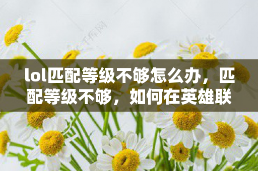 lol匹配等级不够怎么办，匹配等级不够，如何在英雄联盟（LOL）中提升你的游戏水平