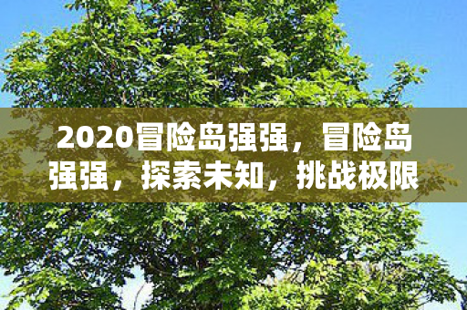 2020冒险岛强强，冒险岛强强，探索未知，挑战极限