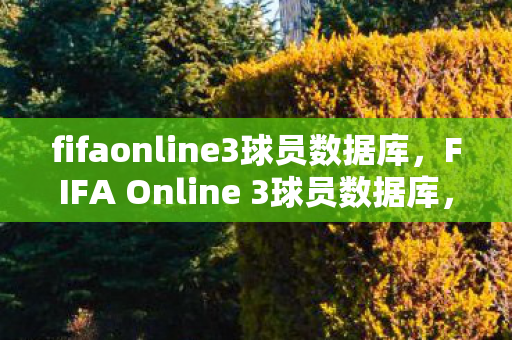 fifaonline3球员数据库，FIFA Online 3球员数据库，打造你的梦幻阵容