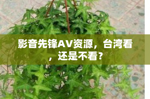 影音先锋AV资源，台湾看，还是不看？
