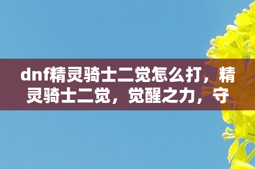 dnf精灵骑士二觉怎么打，精灵骑士二觉，觉醒之力，守护之心的觉醒