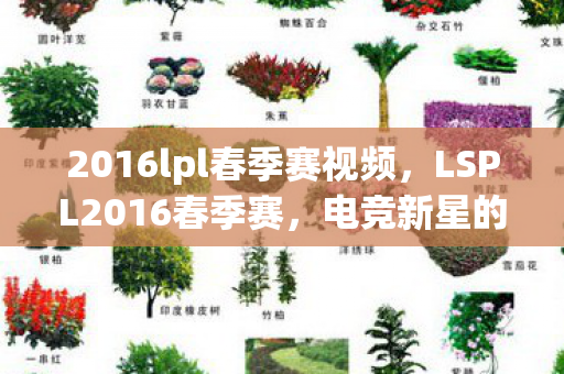 2016lpl春季赛视频，LSPL2016春季赛，电竞新星的崛起与荣耀时刻