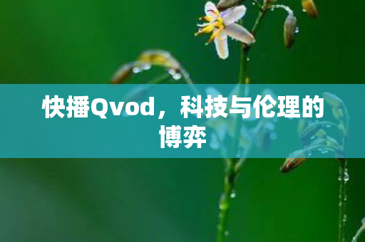 快播Qvod，科技与伦理的博弈